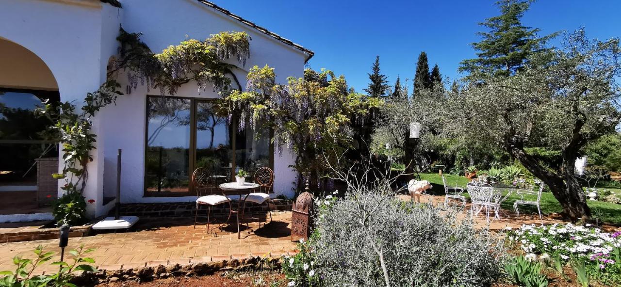 Roca Verde, Boutique Bed & Breakfast (Adults Only) Алаурін-де-ла-Торре Екстер'єр фото